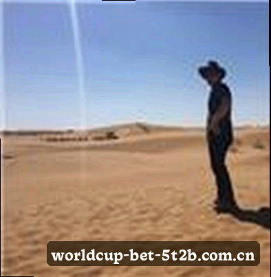 吴迪